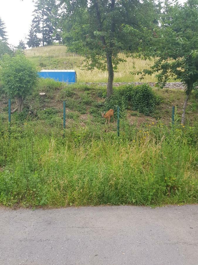 Ubytovanie Marina Banská Štiavnica Exterior foto